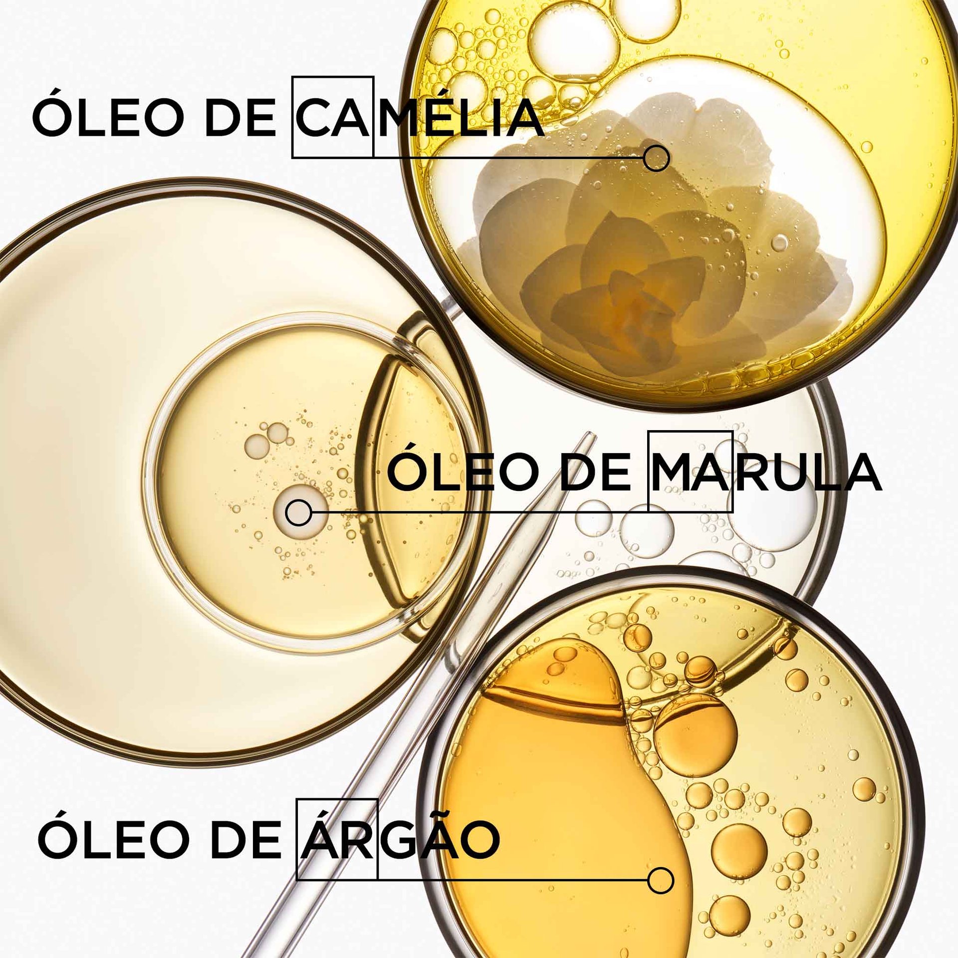 ingredientes dos produtos elixir ultime de kérastase